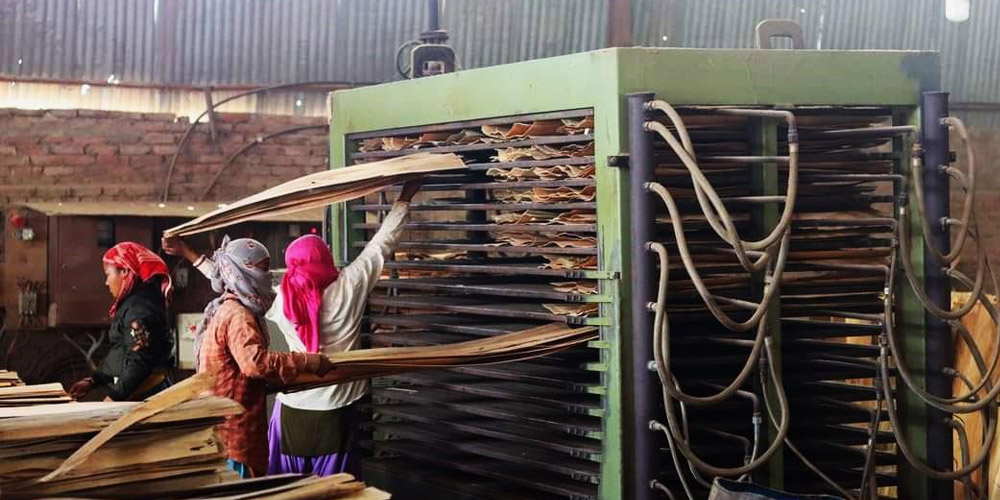 योयो प्लाइउड बन्द, ६ सयभन्दा बढी मजदुर बेरोजगार